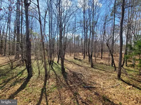 Texas School Road, Buckingham, VA 23921