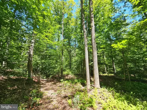 15 Ac Manteo Rd, Buckingham, VA 23921