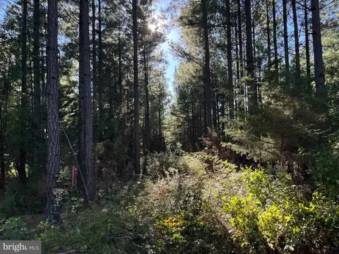 Chestnut Tract 4, Bedford, VA 24523