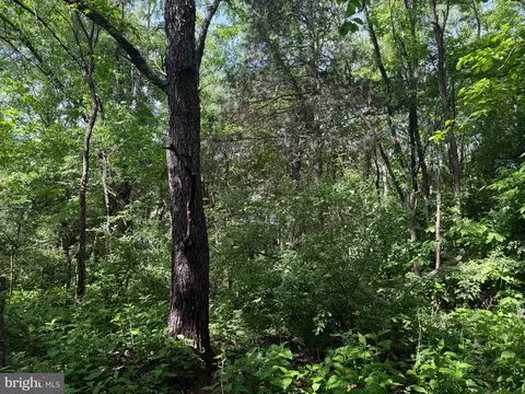 0 Eagles Nest Dr, Goodview, VA 24095 photo 6