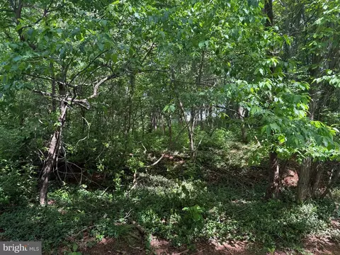 0 Eagles Nest Dr, Goodview, VA 24095 photo 9
