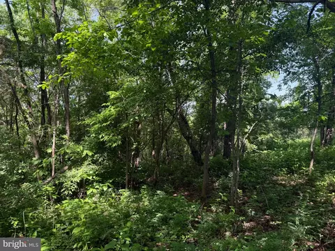 0 Eagles Nest Dr, Goodview, VA 24095 photo 5
