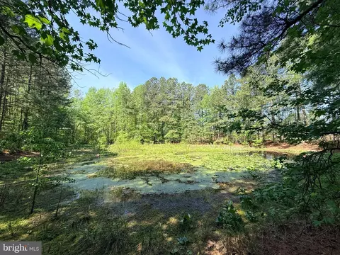 lot96 Sturgeon Rd, Lawrenceville, VA 23868