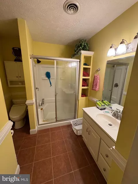 Bath - 107 Mountain View Dr, Fancy Gap, VA 24328 photo 2 of 2