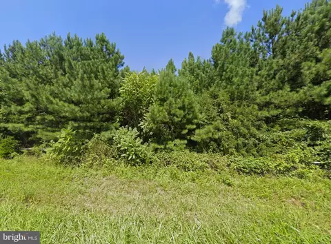 0 W Saxkey Rd, Saxe, VA 23967 photo 6