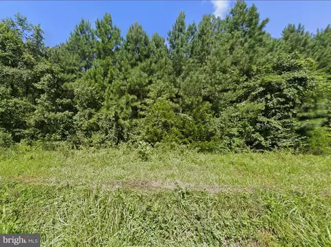 0 W Saxkey Rd, Saxe, VA 23967 photo 3