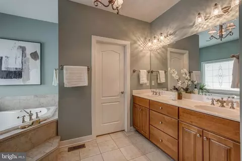 Bath - 3013 Hedgeway Pl, Midlothian, VA 23113 photo 2 of 4