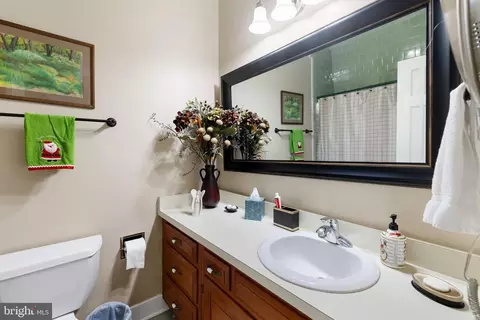 3011 River Hills Ln, Midlothian, VA 23113 photo 28