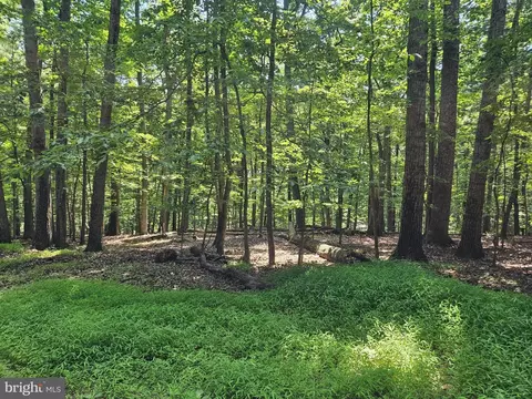 Dogwood Ln, Bluemont, VA 20135