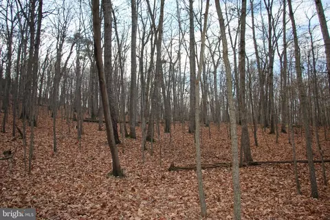 Chapman Lane, Boyce, VA 22620 photo 2