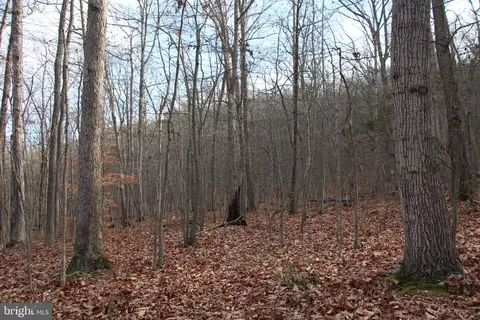 Chapman Lane, Boyce, VA 22620