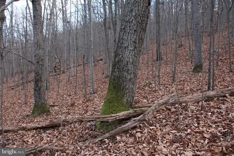Chapman Lane, Boyce, VA 22620 photo 8