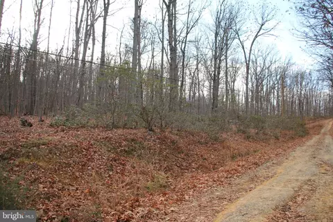 Chapman Lane, Boyce, VA 22620 photo 5