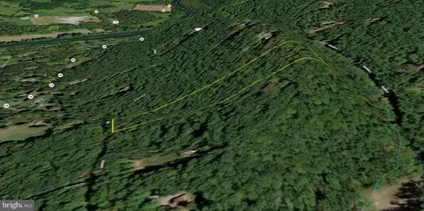 Chapman Lane, Boyce, VA 22620 photo 13