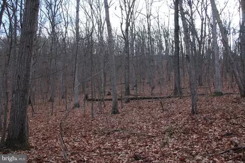 Chapman Lane, Boyce, VA 22620 photo 9