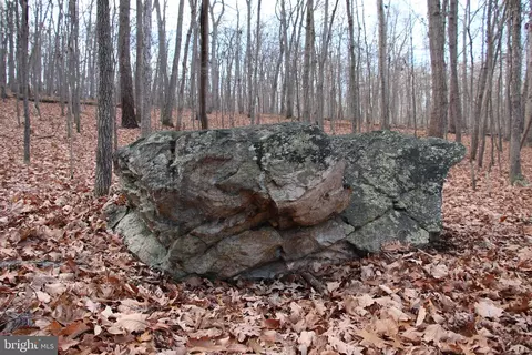 Chapman Lane, Boyce, VA 22620 photo 3