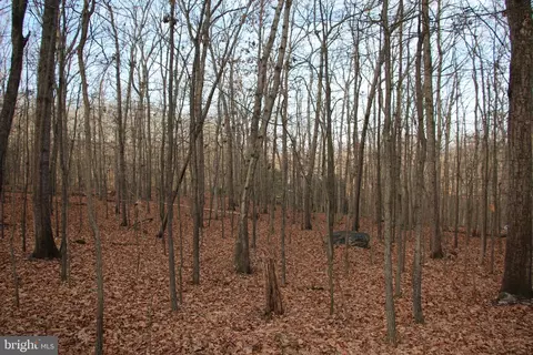 Chapman Lane, Boyce, VA 22620 photo 4