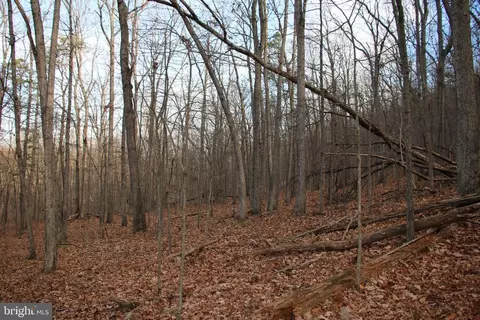 Chapman Lane, Boyce, VA 22620 photo 6