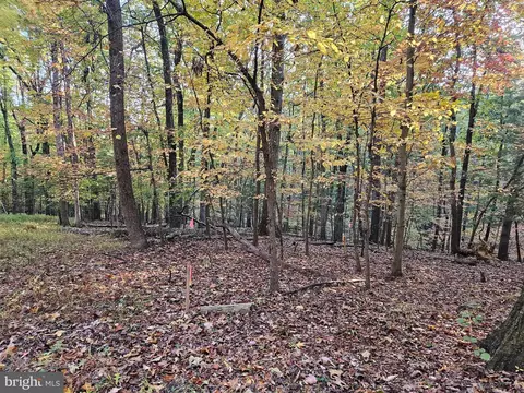 22232425 Dogwood Ln, Bluemont, VA 20135