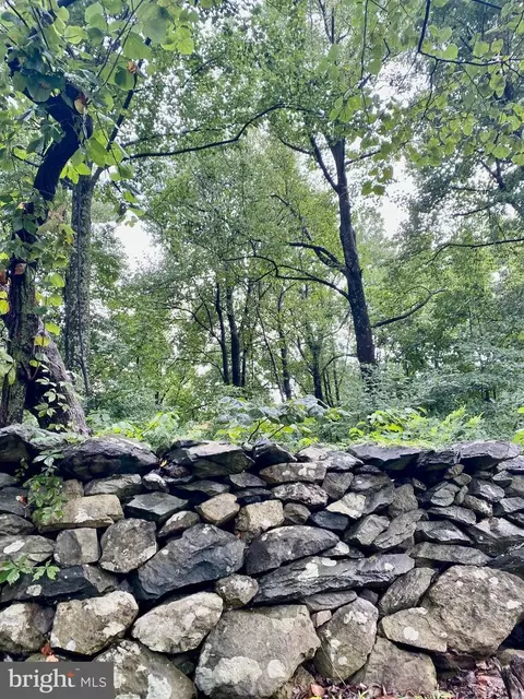 Blueridge Mountain Lot 2 Road, Bluemont, VA 20135