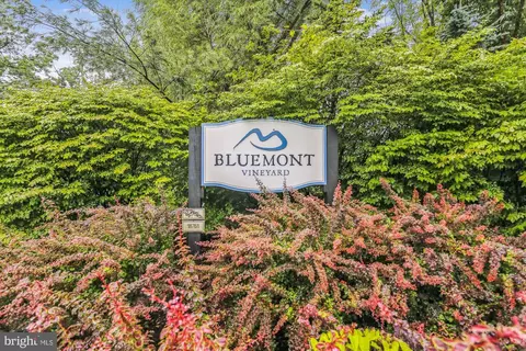 326 Easy Ln, Bluemont, VA 20135 photo 69