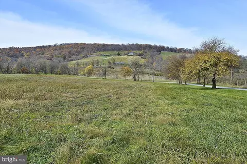 326 Easy Ln, Bluemont, VA 20135 photo 70