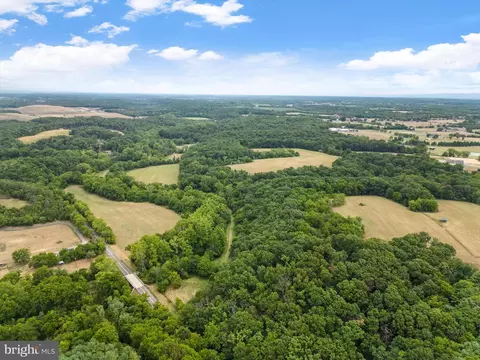 Carpers Valley, Boyce, VA 22620 photo 17