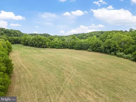 Carpers Valley, Boyce, VA 22620 photo 15
