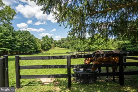459 Burch Ln, Boyce, VA 22620 photo 39