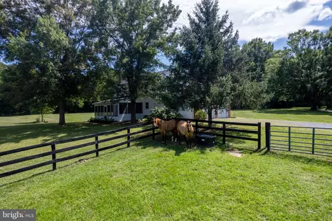 459 Burch Ln, Boyce, VA 22620 photo 43