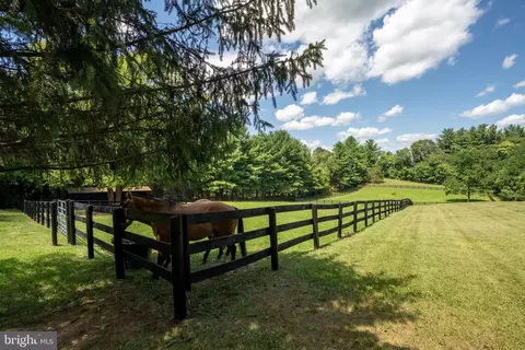 459 Burch Ln, Boyce, VA 22620 photo 40