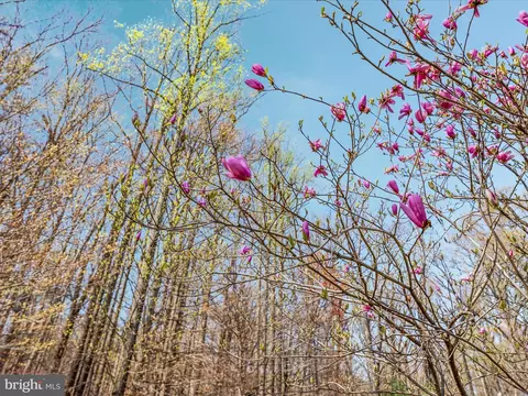 Other - 460 Solitude Ln, Boyce, VA 22620 photo 34 of 34