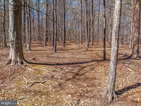 Other - 460 Solitude Ln, Boyce, VA 22620 photo 3 of 34