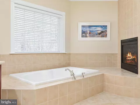 Bath - 460 Solitude Ln, Boyce, VA 22620 photo 3 of 9