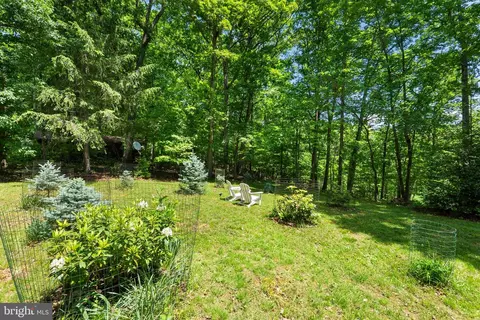 384 Old Ferry Ln, Bluemont, VA 20135 photo 34