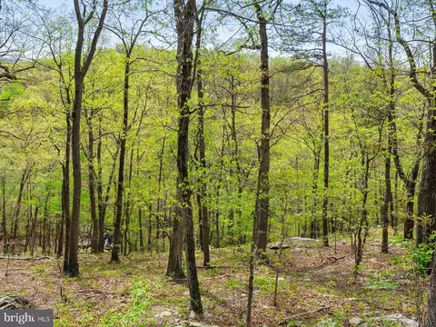 384 Old Ferry Ln, Bluemont, VA 20135 photo 12