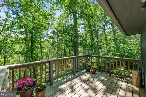 384 Old Ferry Ln, Bluemont, VA 20135 photo 29