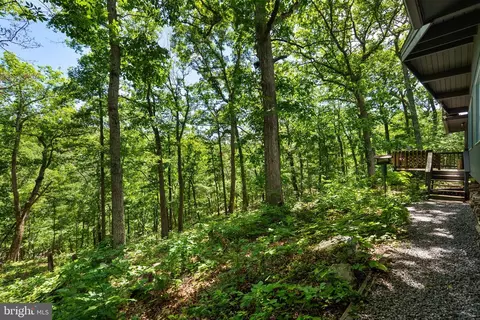 384 Old Ferry Ln, Bluemont, VA 20135 photo 30
