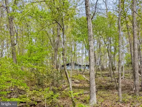 384 Old Ferry Ln, Bluemont, VA 20135 photo 32
