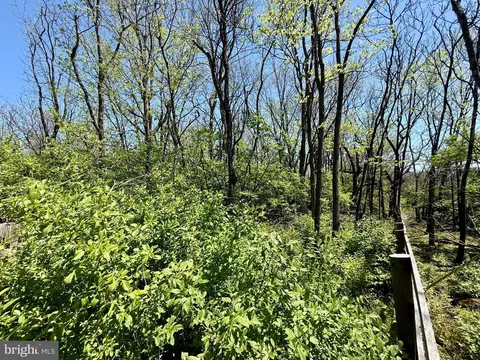 Page Brook Lane, Boyce, VA 22620