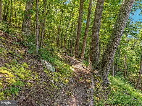 Other - 4327 Ebenezer Rd, Bluemont, VA 20135 photo 19 of 38