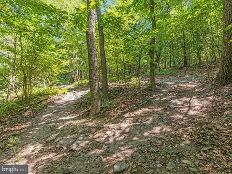Other - 4327 Ebenezer Rd, Bluemont, VA 20135 photo 21 of 38