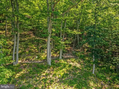 Other - 4327 Ebenezer Rd, Bluemont, VA 20135 photo 37 of 38