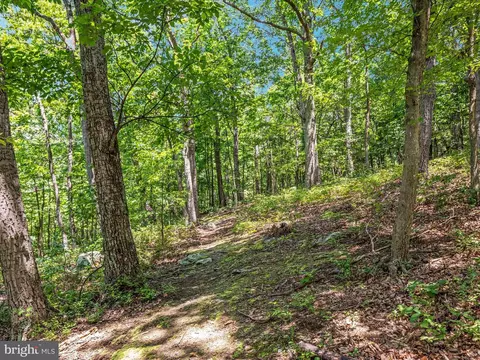 Other - 4327 Ebenezer Rd, Bluemont, VA 20135 photo 23 of 38