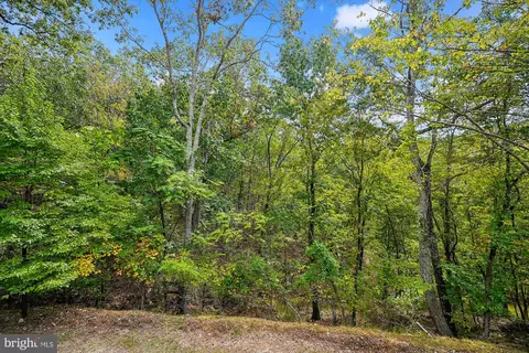 Exterior - 884 Old Ferry Ln, Bluemont, VA 20135 photo 18 of 21