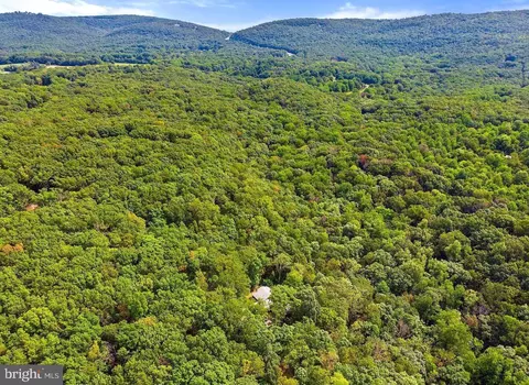 Other - 884 Old Ferry Ln, Bluemont, VA 20135 photo 2 of 22