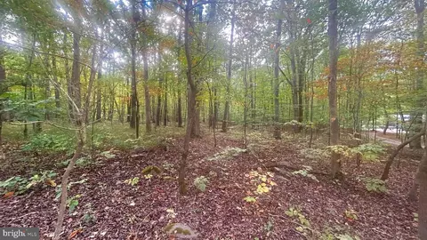 Cliff Lane, Bluemont, VA 20135 photo 7