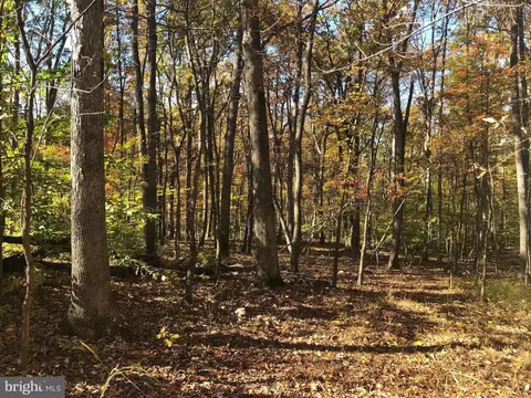 Cliff Lane, Bluemont, VA 20135