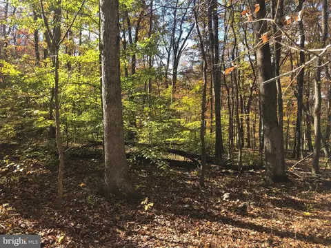 Cliff Lane, Bluemont, VA 20135