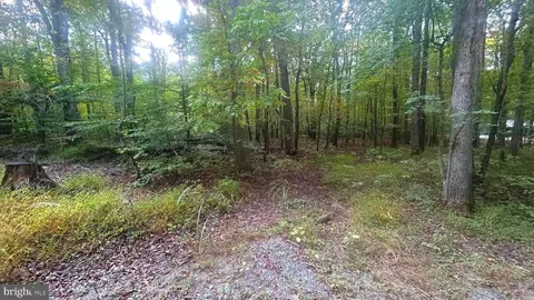 Cliff Lane, Bluemont, VA 20135 photo 4